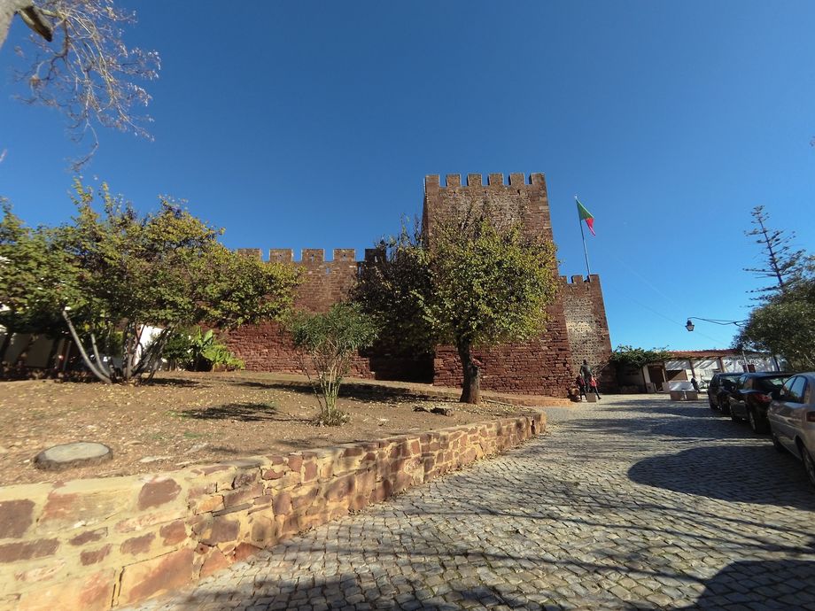 silves 6