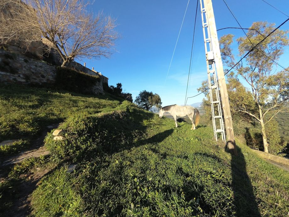 castillo-de-castellar 3